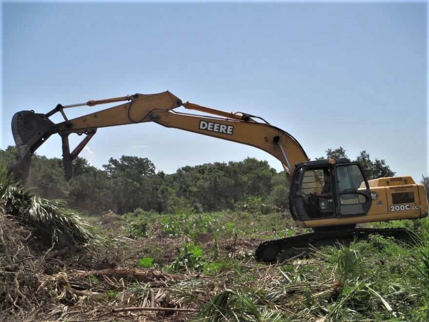 Featured image for “Site Preparation and Invasive Vegetation Removal”